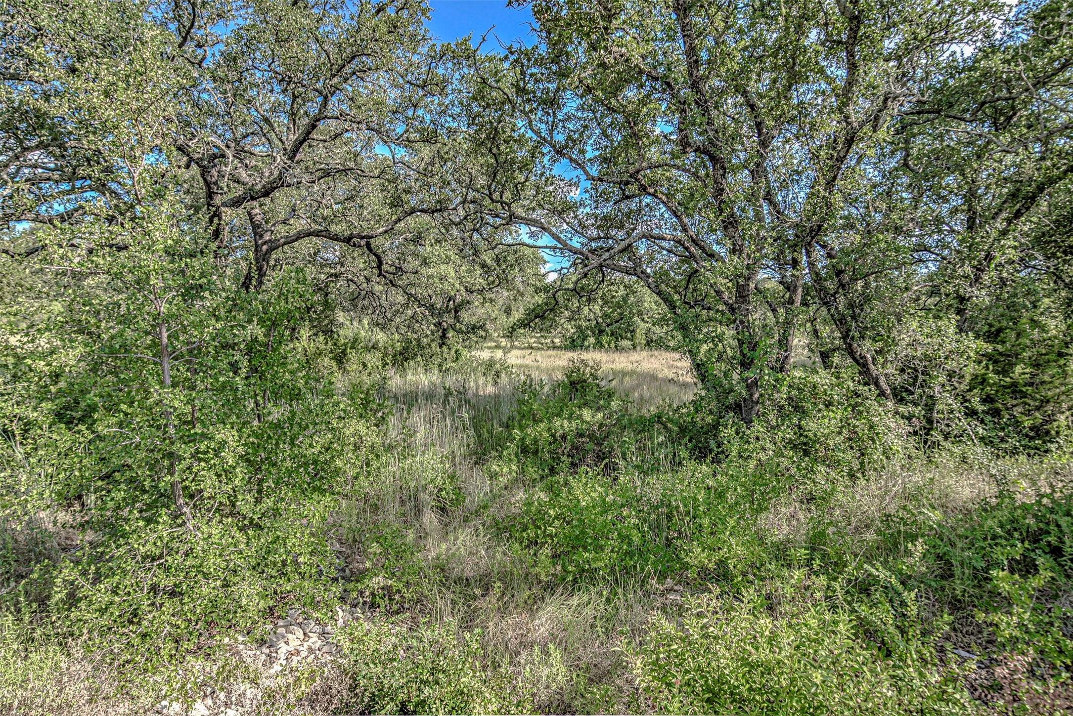 Lot 29-a Sierra Bluff Buchanan Dam TX 78609