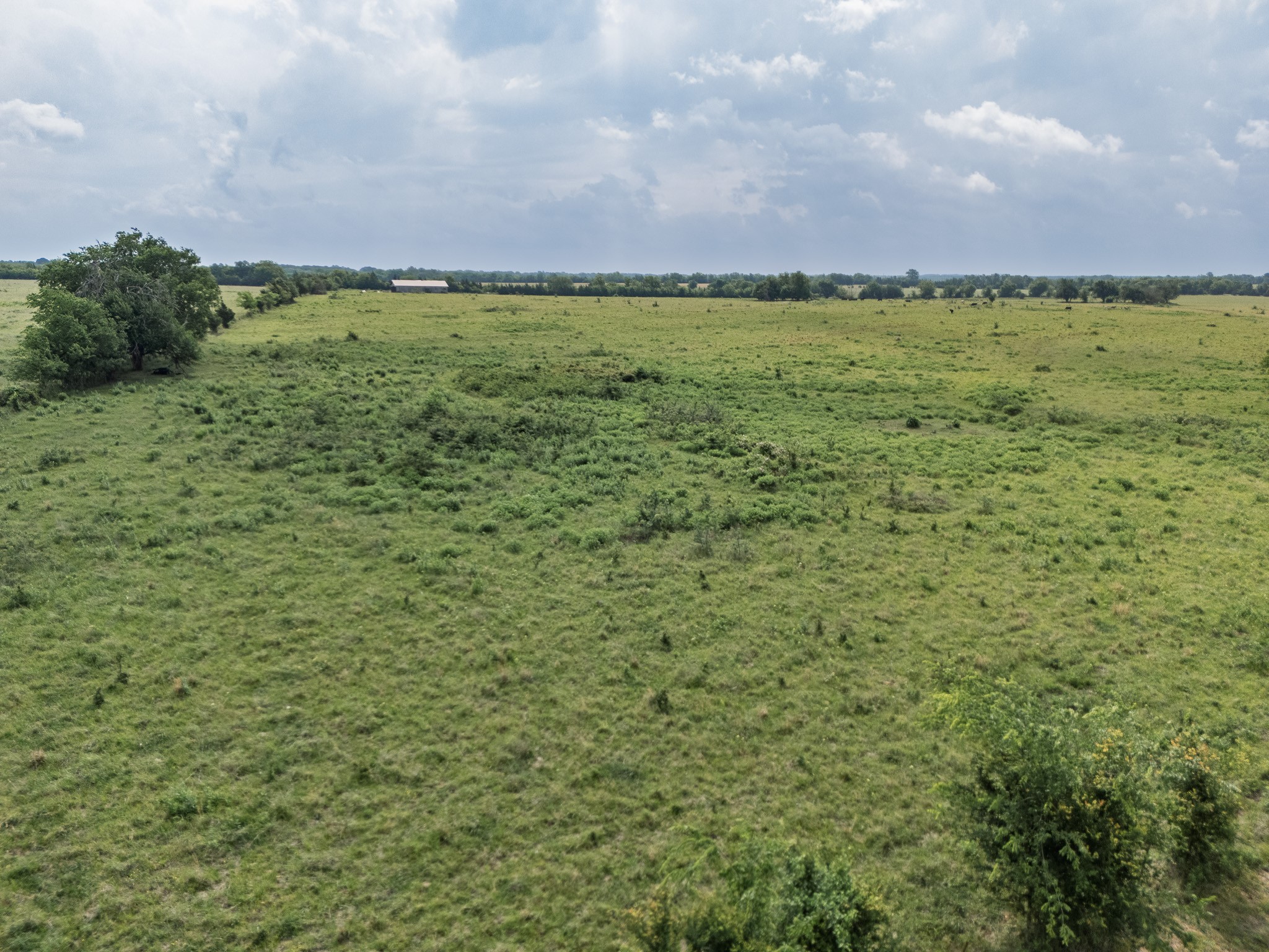 39 Acres County Road 3255 Clarksville TX 75426