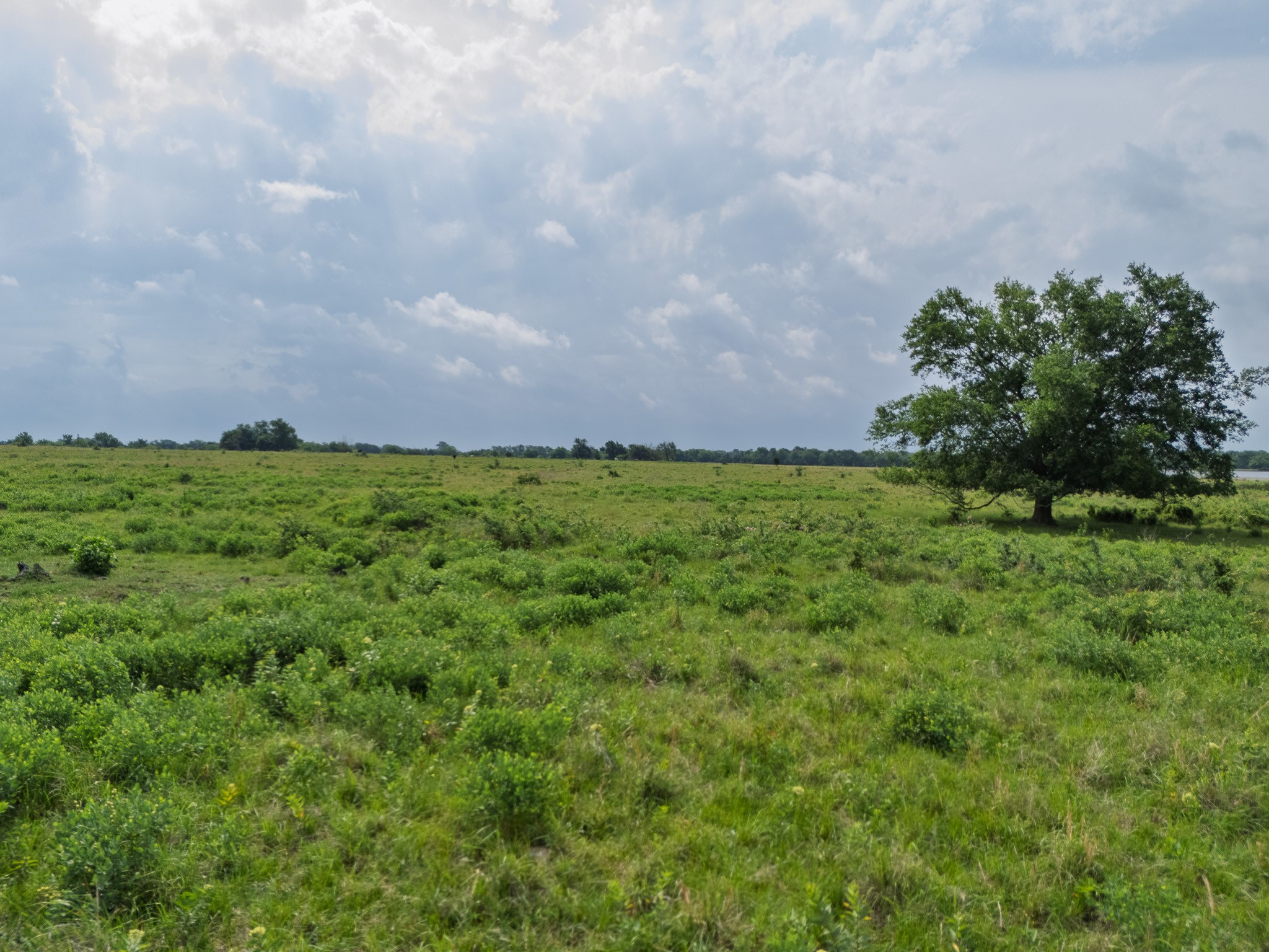 39 Acres County Road 3255 Clarksville TX 75426