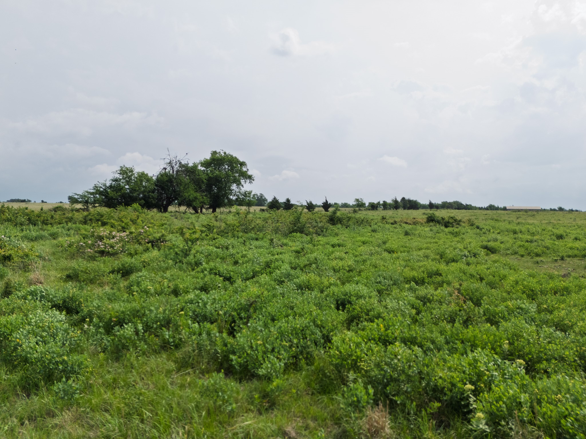 39 Acres County Road 3255 Clarksville TX 75426