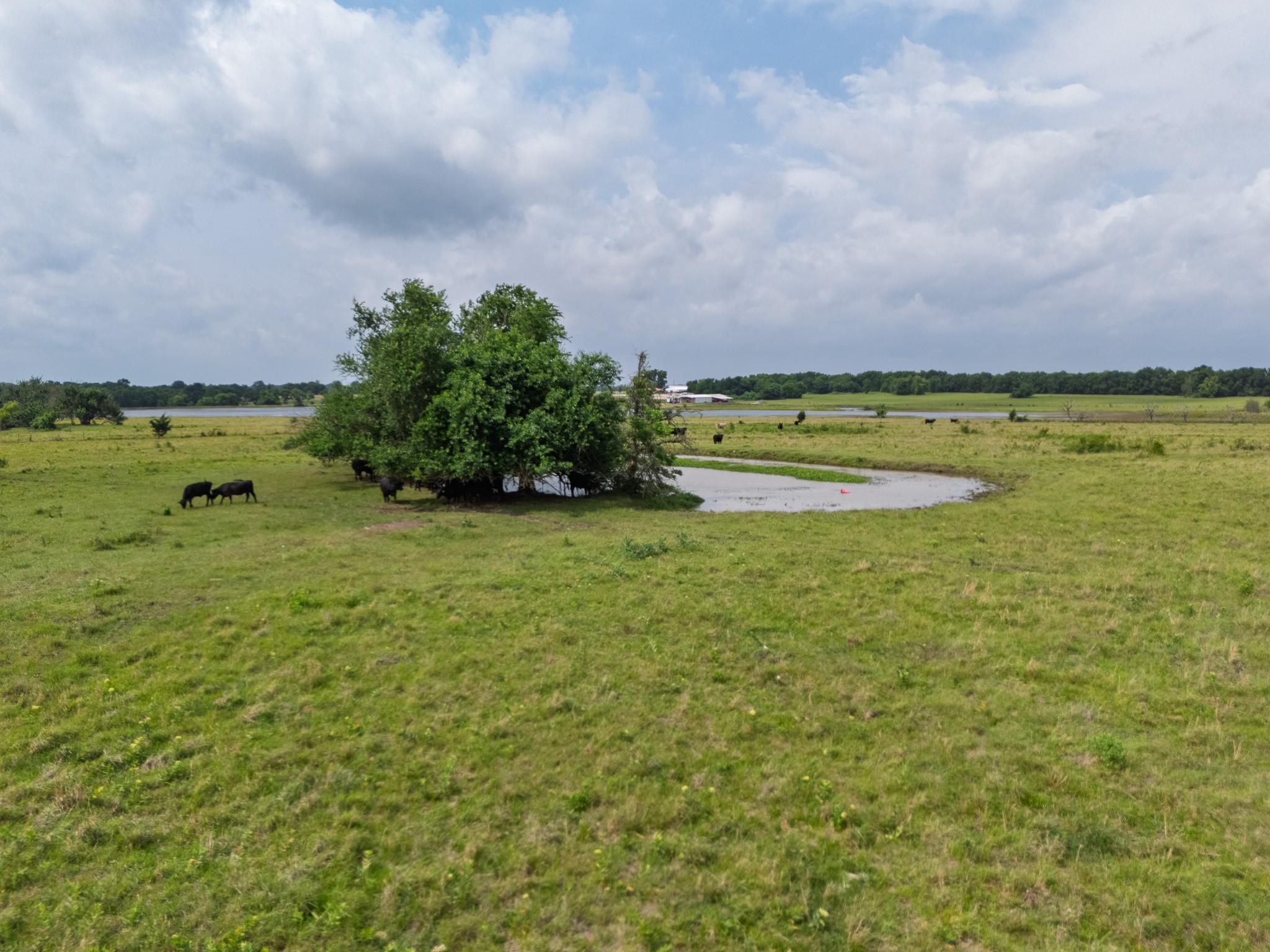 39 Acres County Road 3255 Clarksville TX 75426