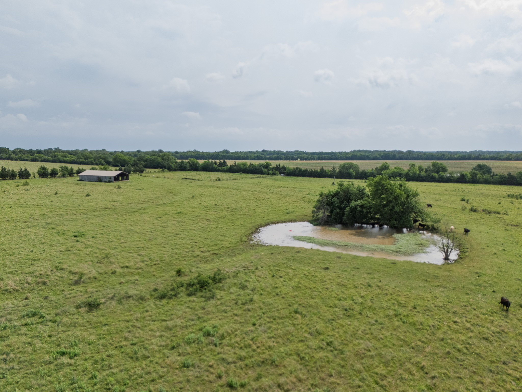 39 Acres County Road 3255 Clarksville TX 75426