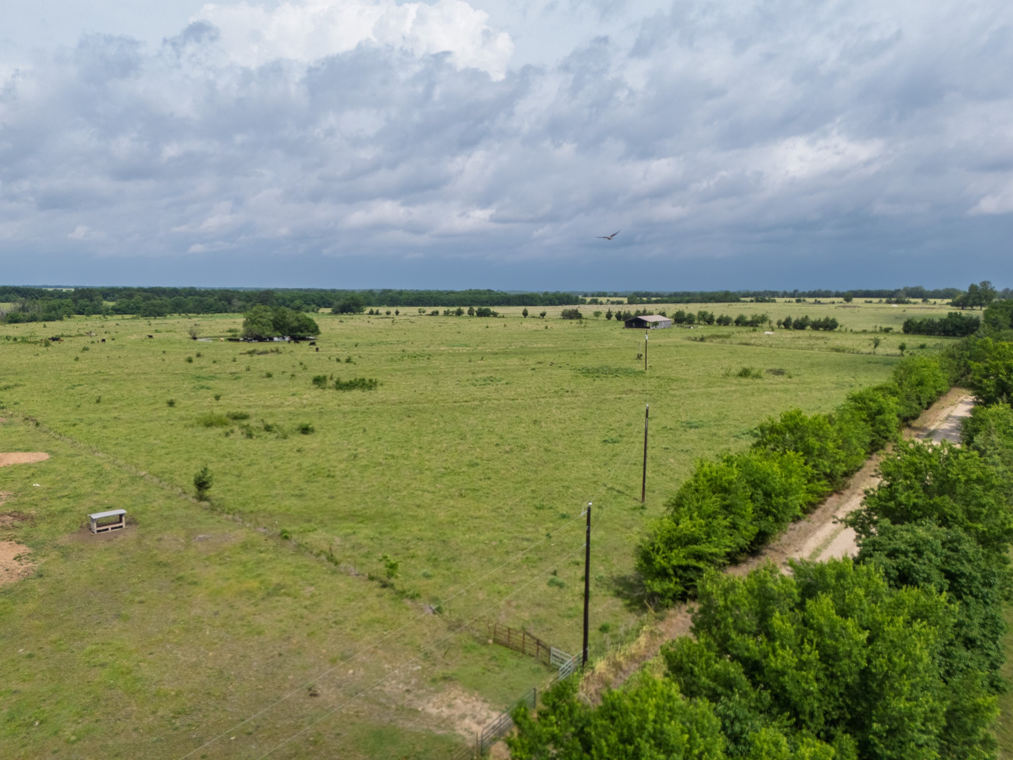 39 Acres County Road 3255 Clarksville TX 75426
