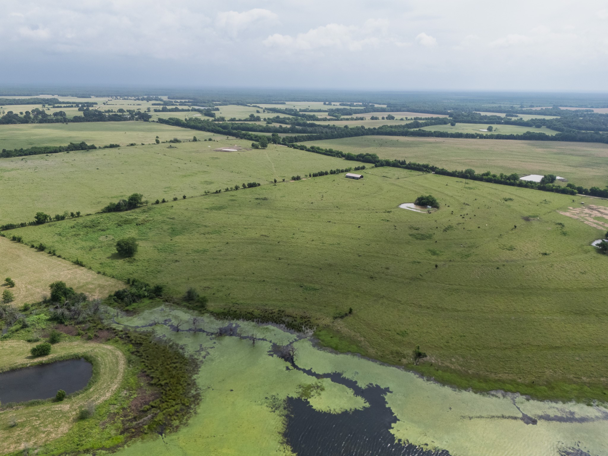 39 Acres County Road 3255 Clarksville TX 75426