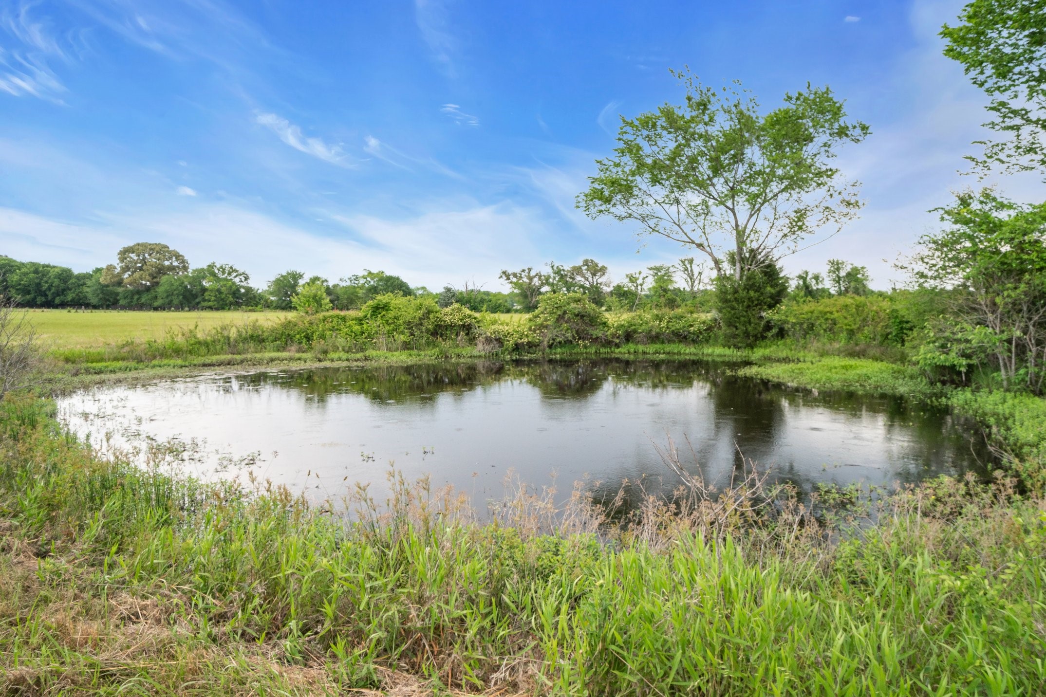 000 County Road 4106 Canton TX 75103