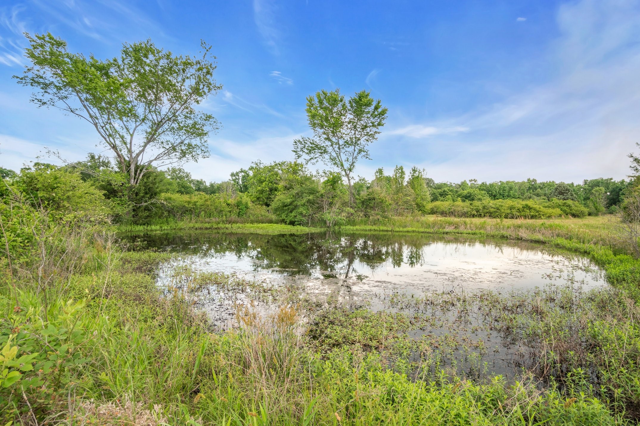 000 County Road 4106 Canton TX 75103
