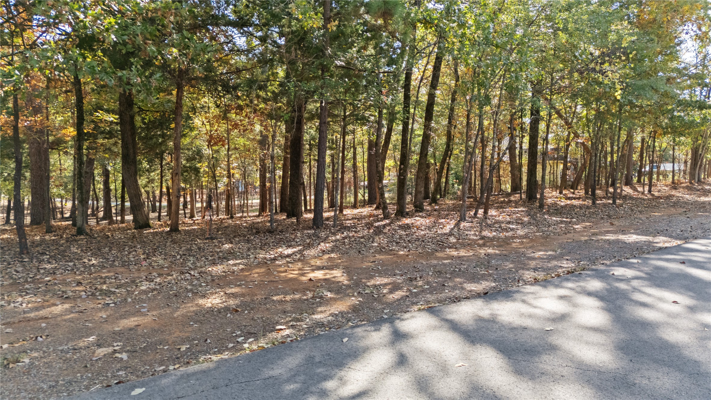 Tbd Hickory Trail Flint TX 75762