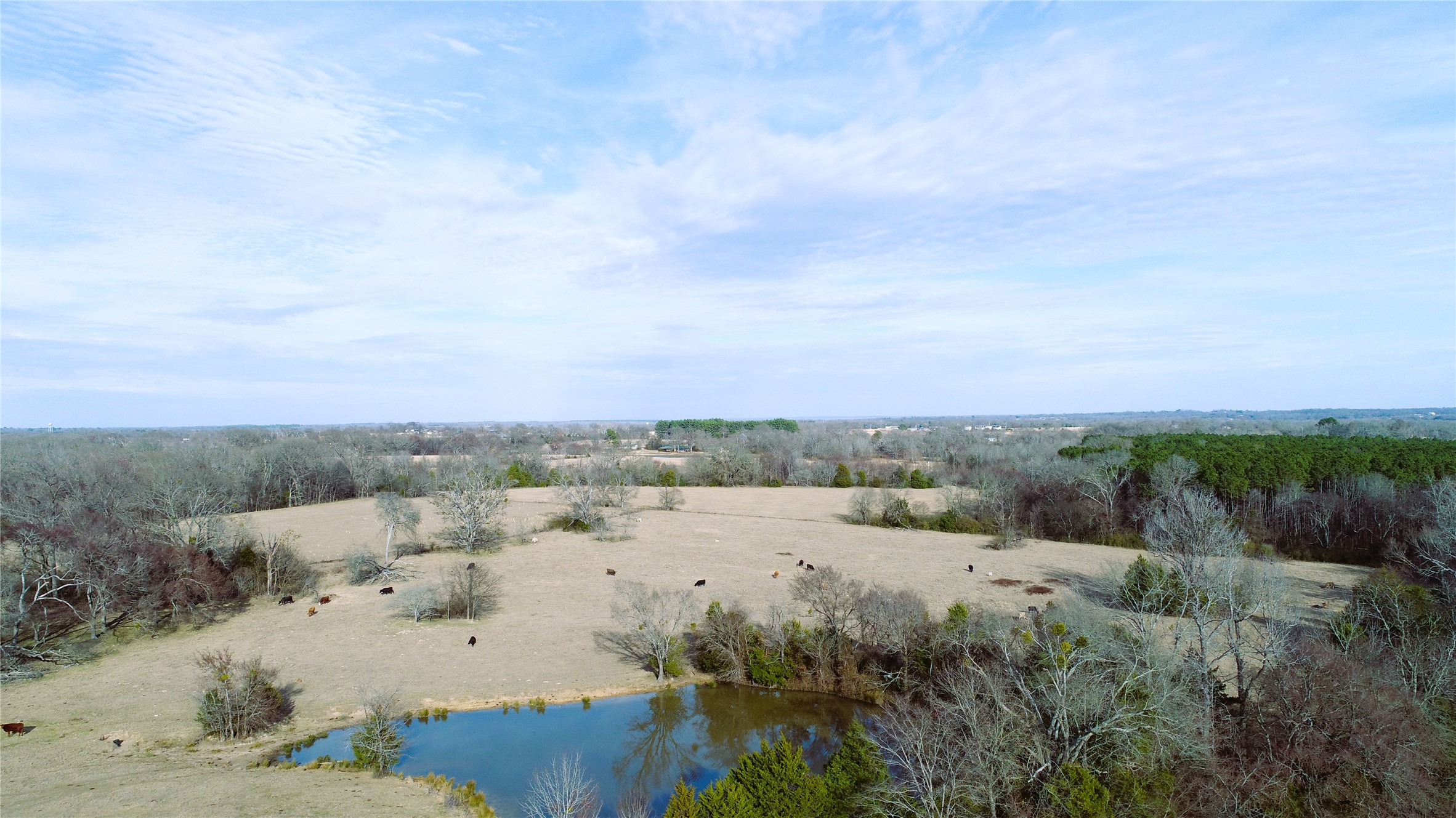 741 County Road 1222 Grand Saline TX 75140