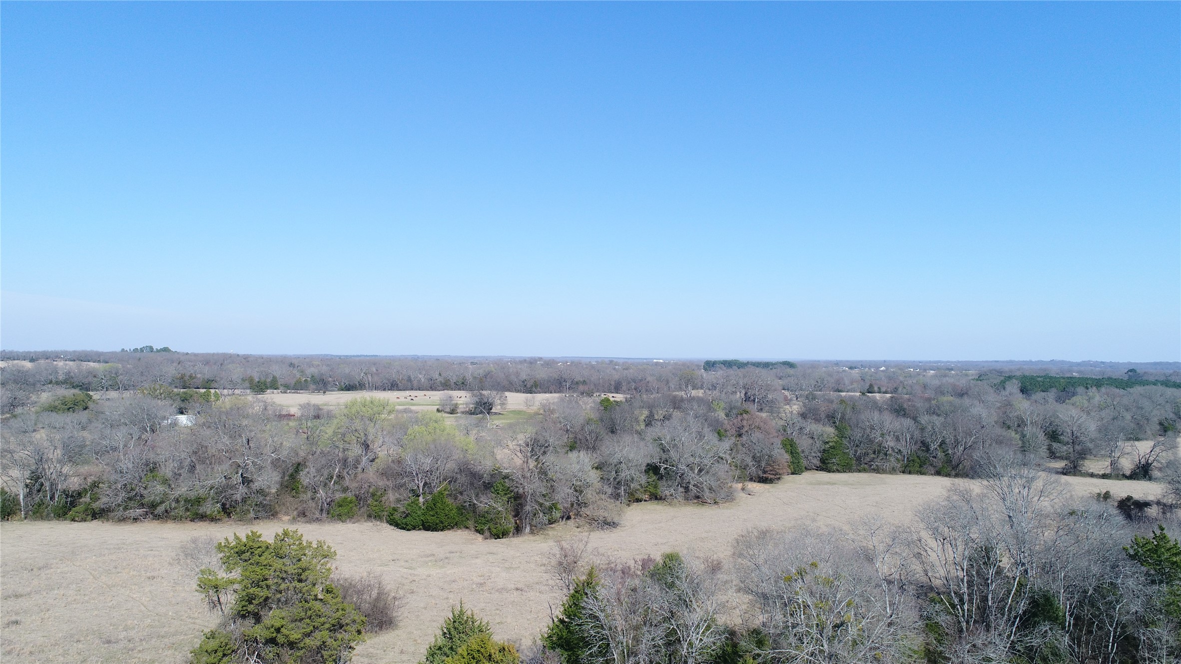 741 County Road 1222 Grand Saline TX 75140