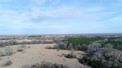 741 County Road 1222 Grand Saline TX 75140