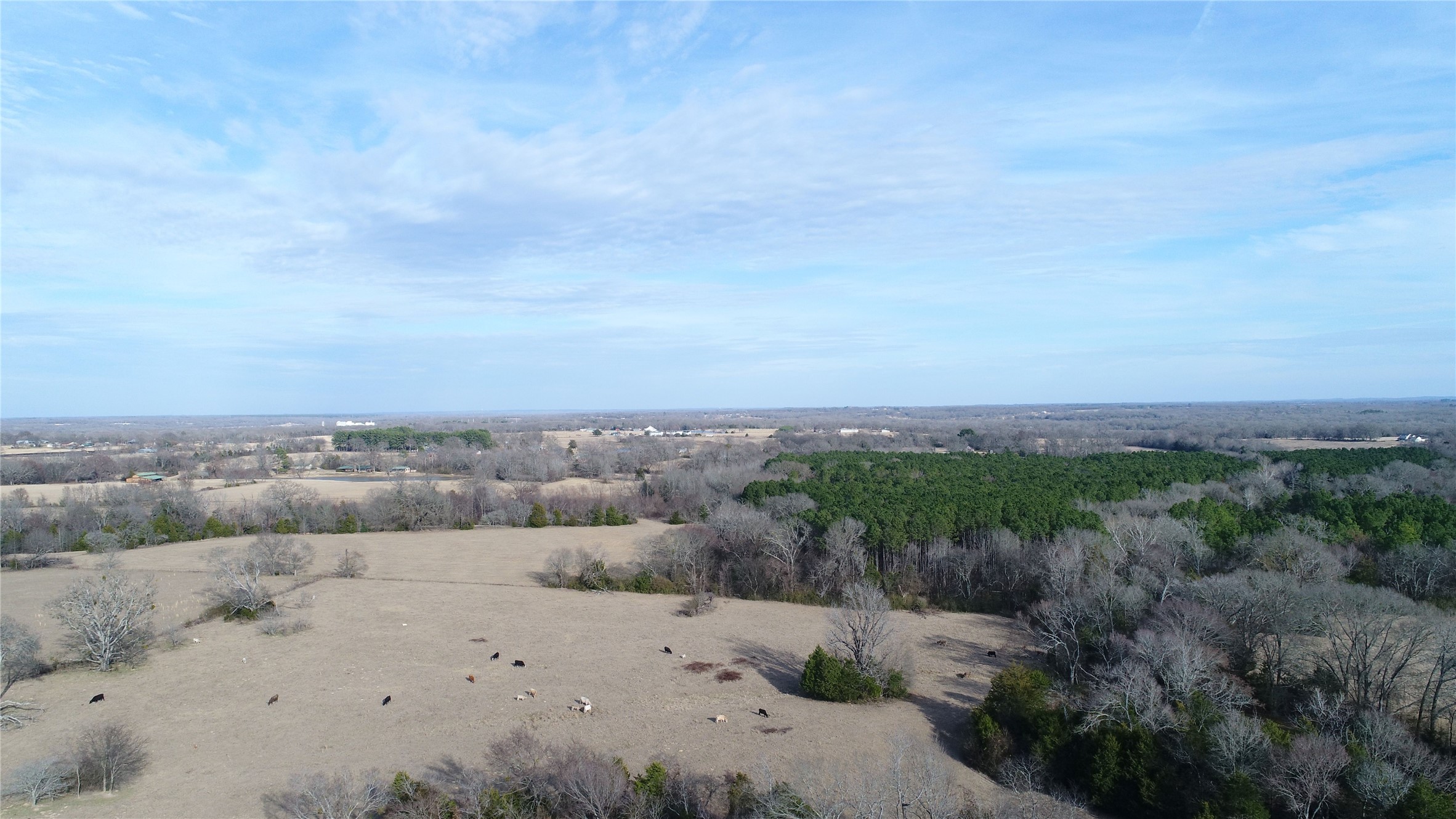 741 County Road 1222 Grand Saline TX 75140