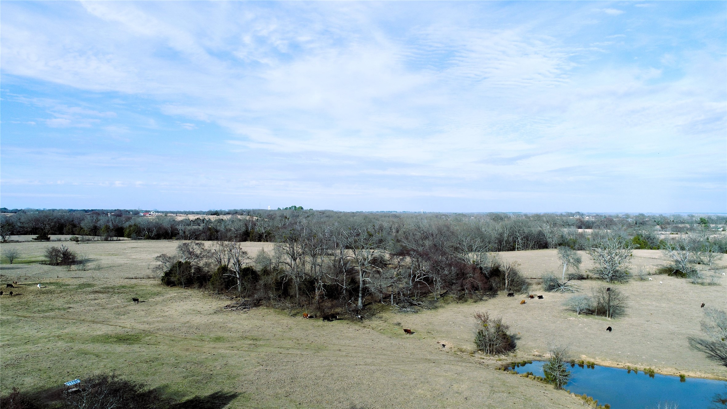 741 County Road 1222 Grand Saline TX 75140