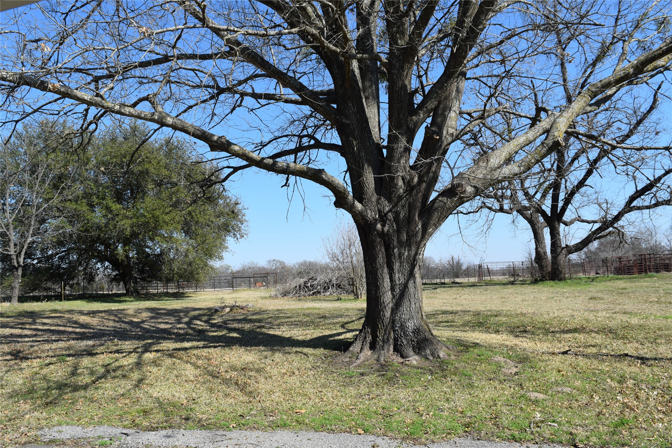 741 County Road 1222 Grand Saline TX 75140