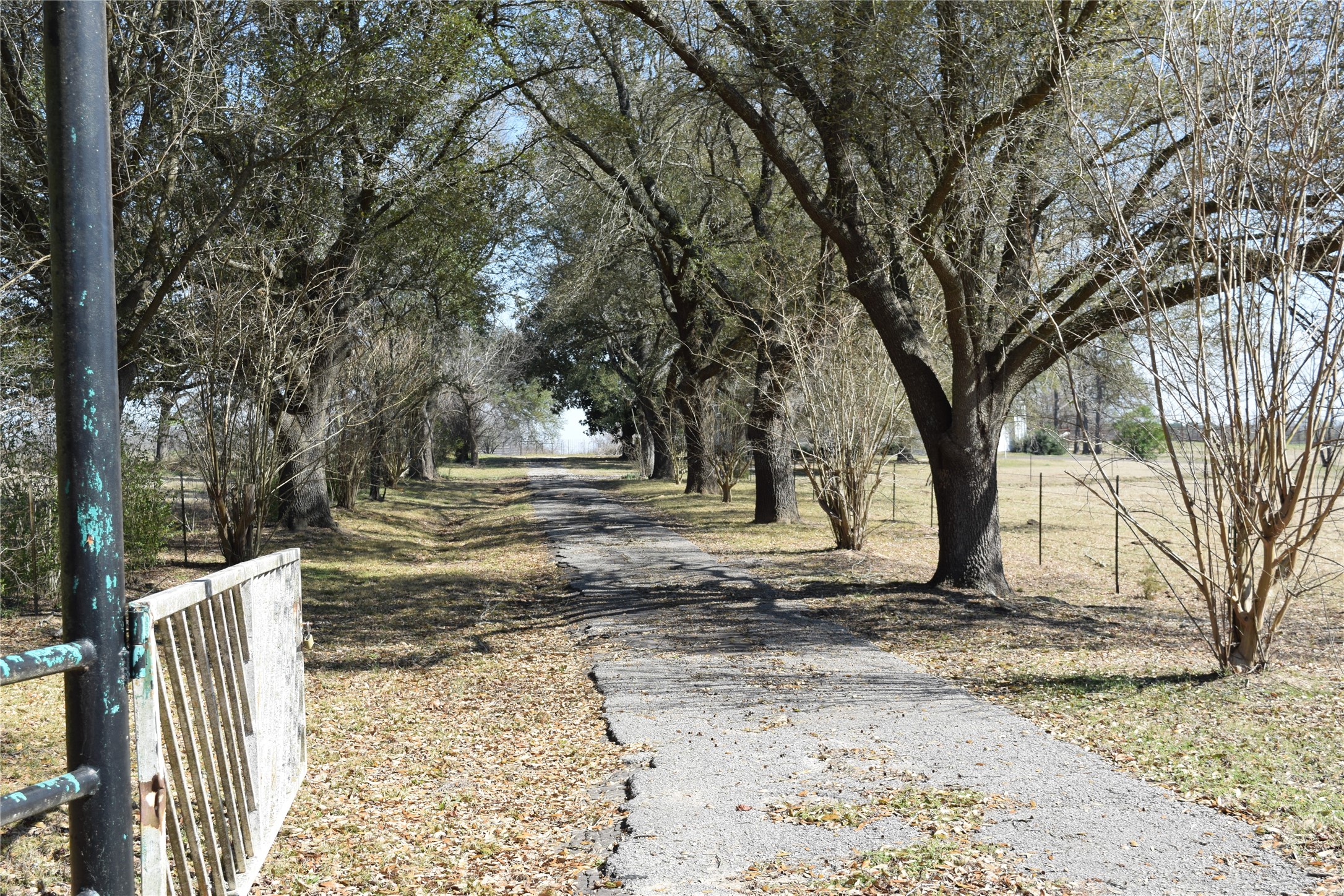 741 County Road 1222 Grand Saline TX 75140