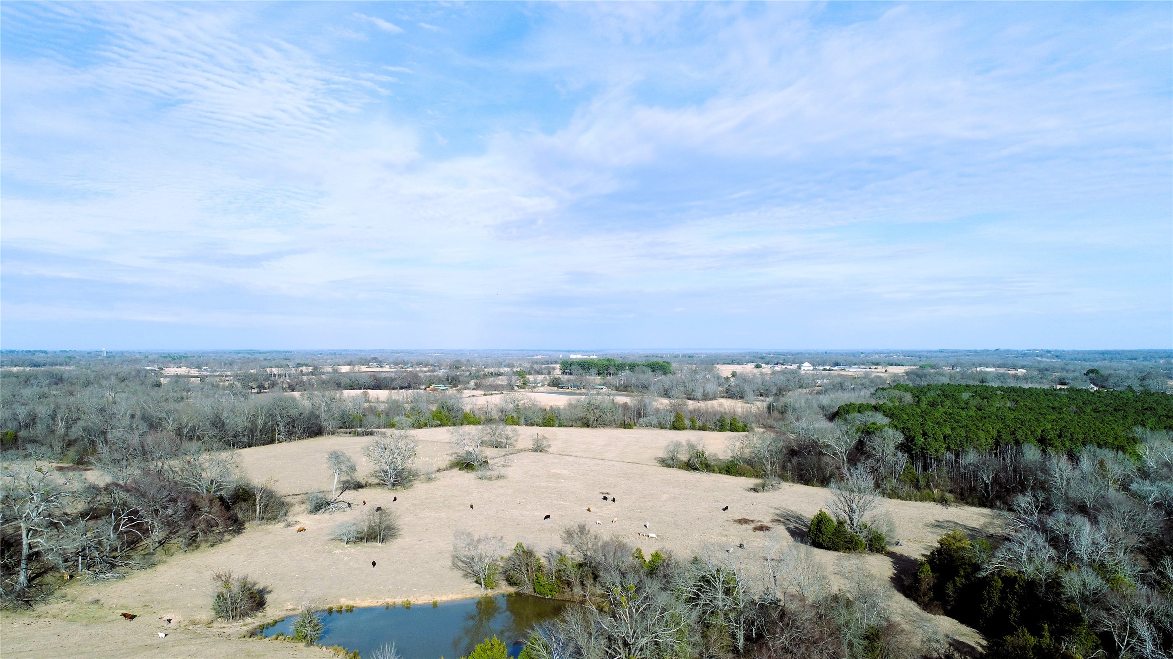 741 County Road 1222 Grand Saline TX 75140