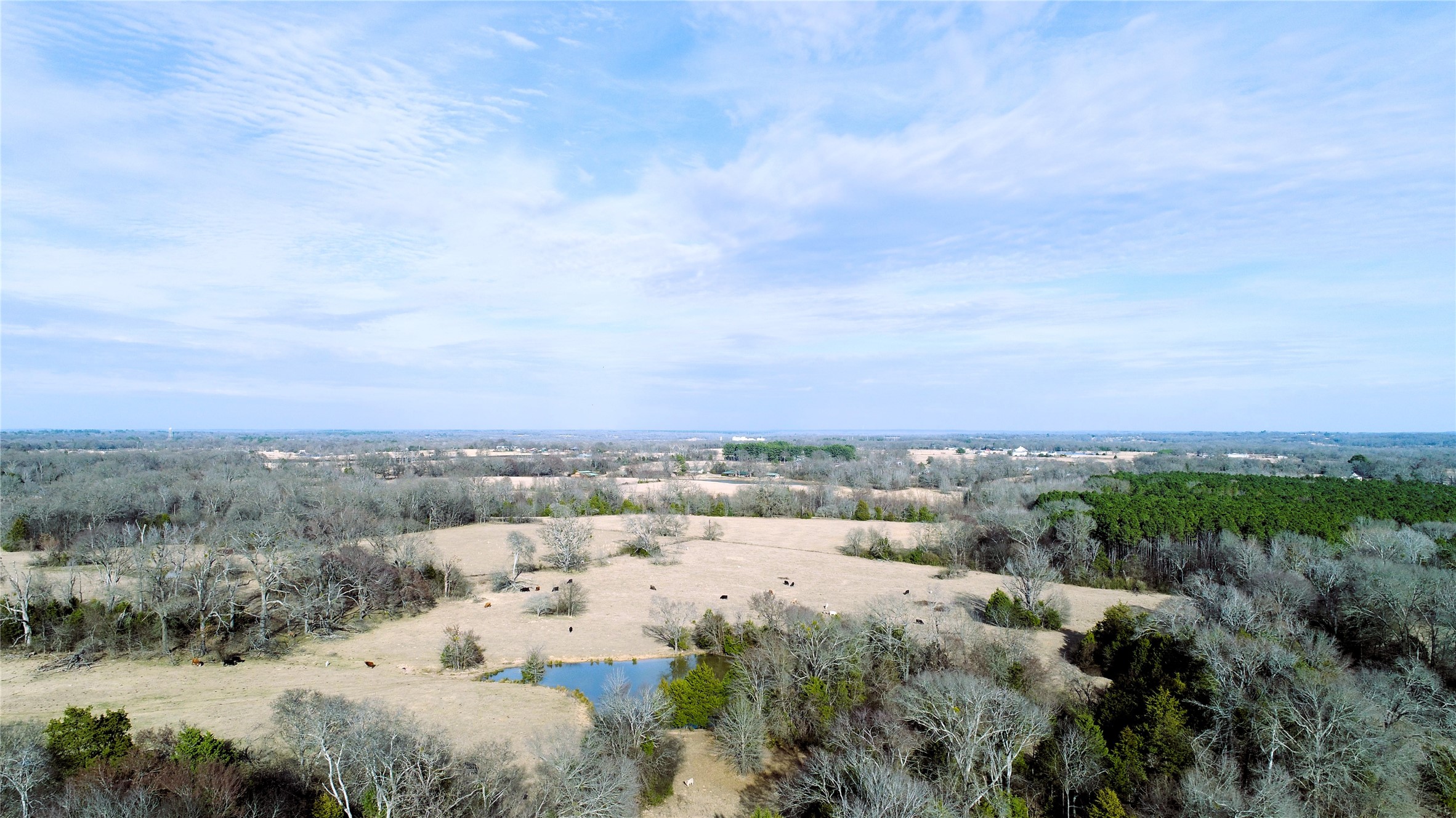 741 County Road 1222 Grand Saline TX 75140