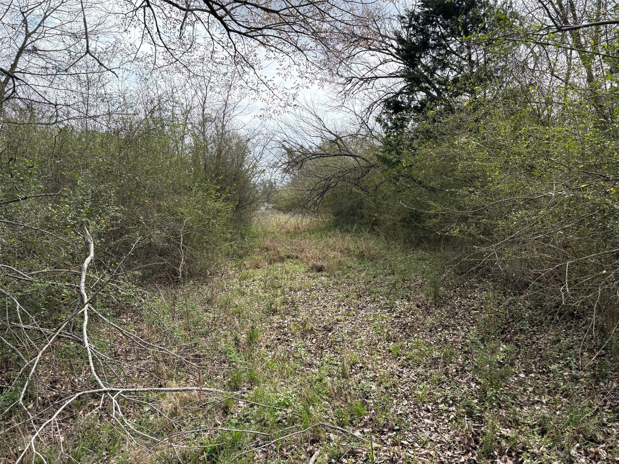 Tbd County Road 666 Kosse TX 76653