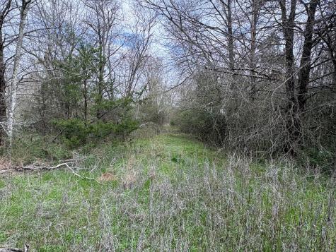 Tbd County Road 666 Kosse TX 76653