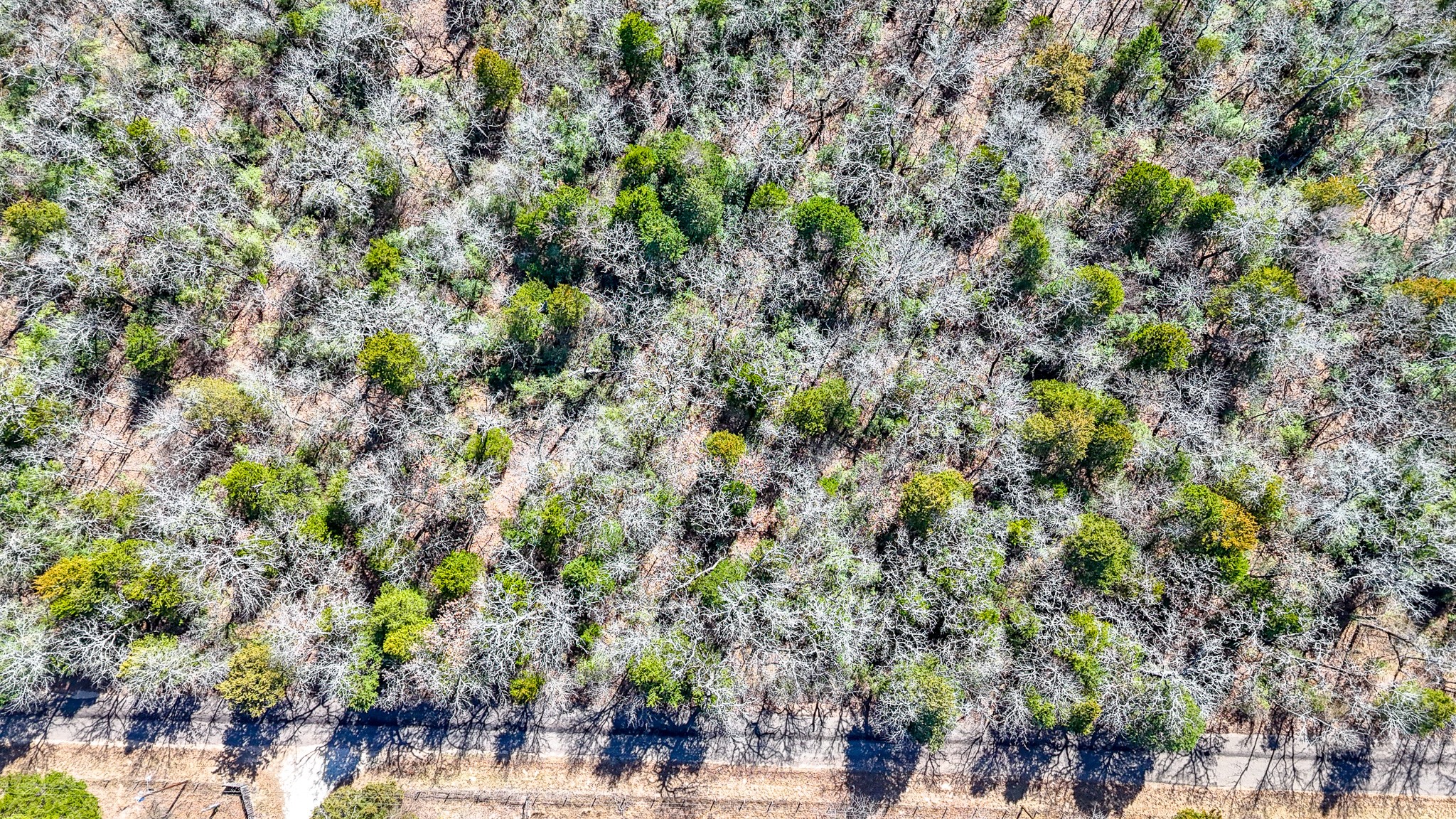 Tbd Lot 7 Fcr 540 Fairfield TX 75840