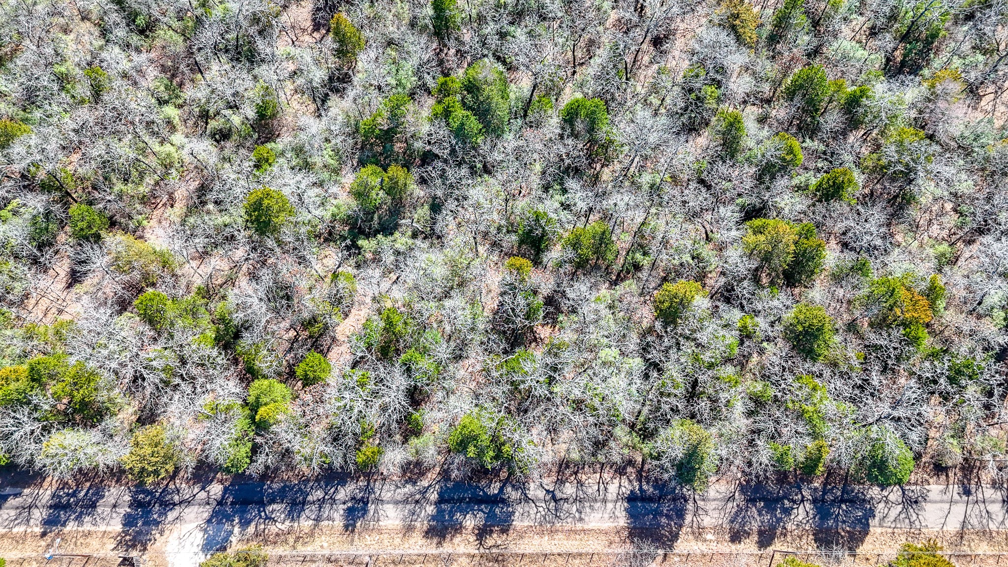 Tbd Lot 7 Fcr 540 Fairfield TX 75840