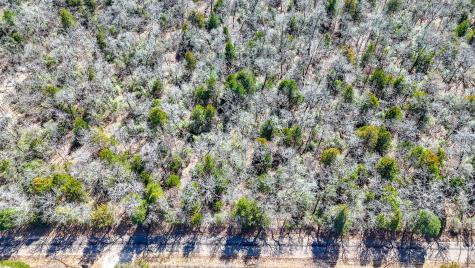 Tbd Lot 7 Fcr 540 Fairfield TX 75840