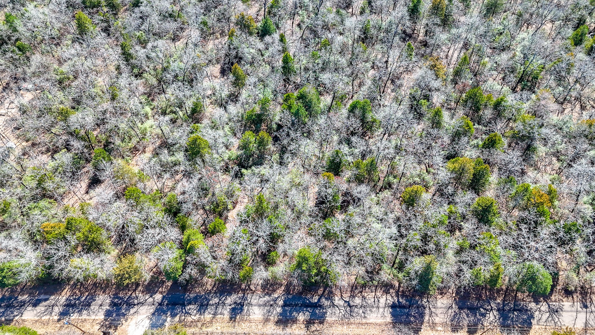 Tbd Lot 7 Fcr 540 Fairfield TX 75840