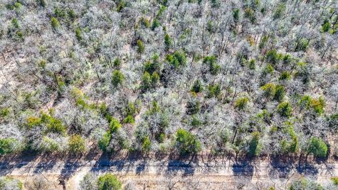 Tbd Lot 7 Fcr 540 Fairfield TX 75840