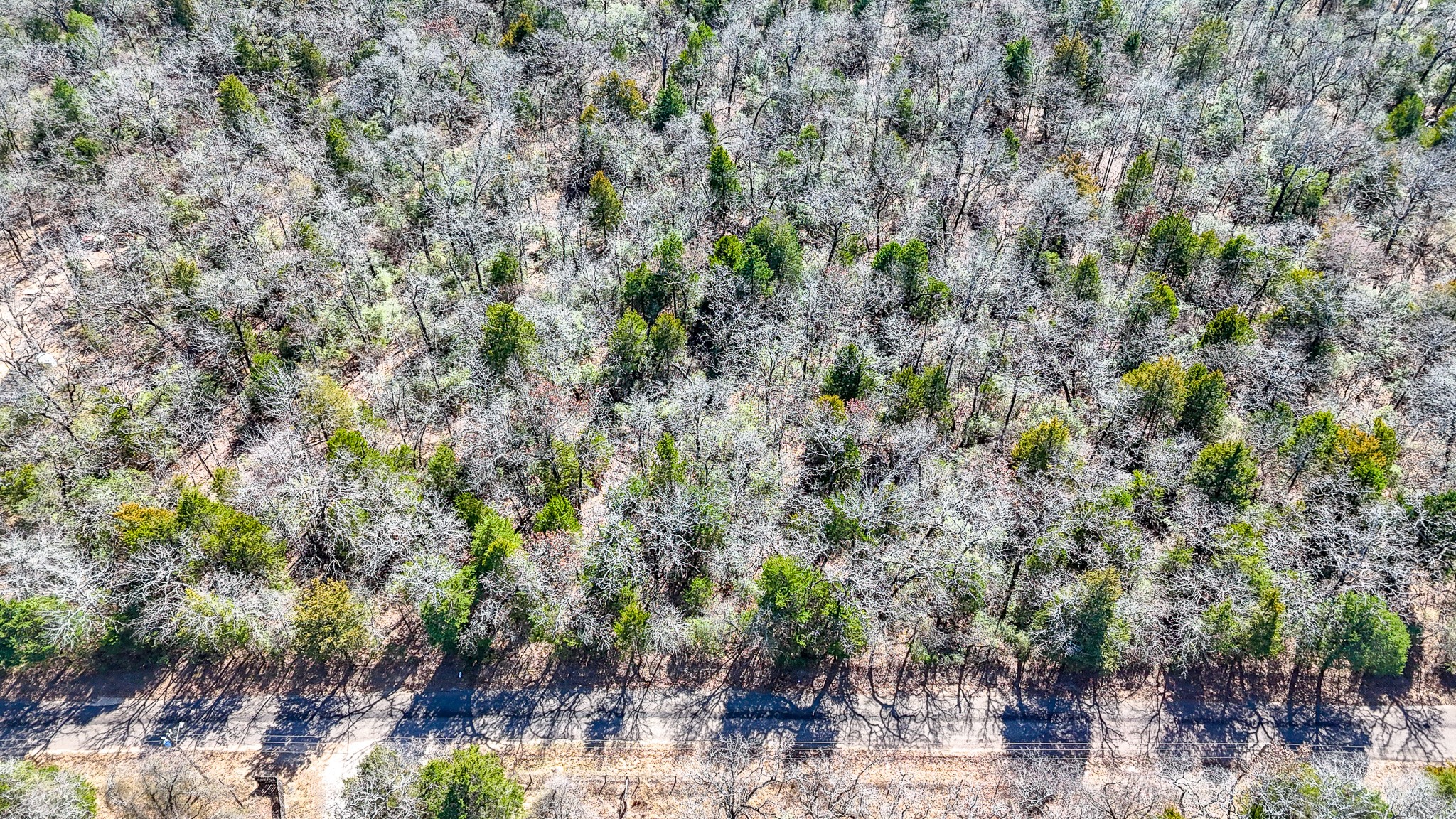 Tbd Lot 7 Fcr 540 Fairfield TX 75840