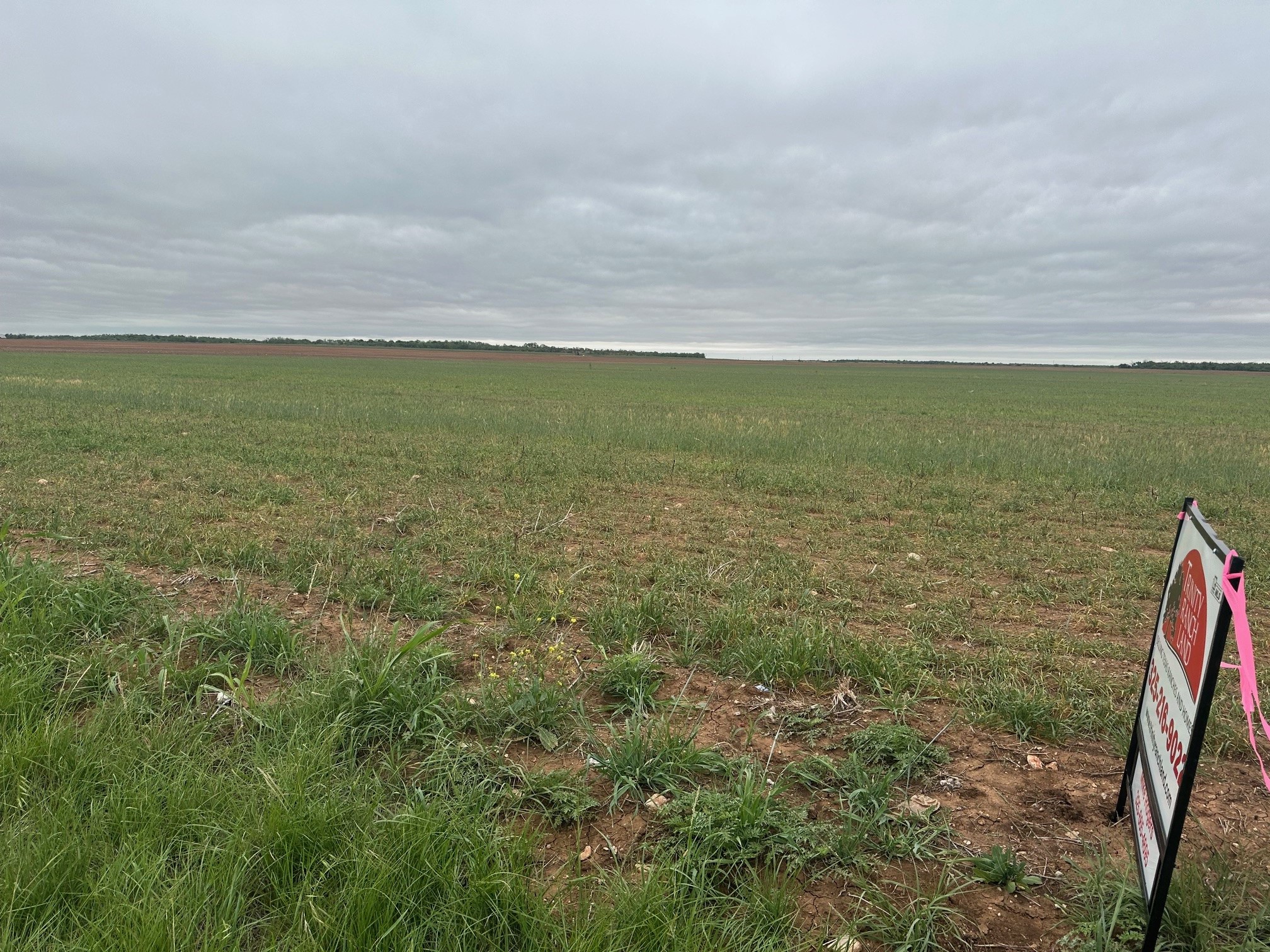 Tbd Fm126( Tract 2 ) Merkel, Tx 79536 Merkel TX 79536