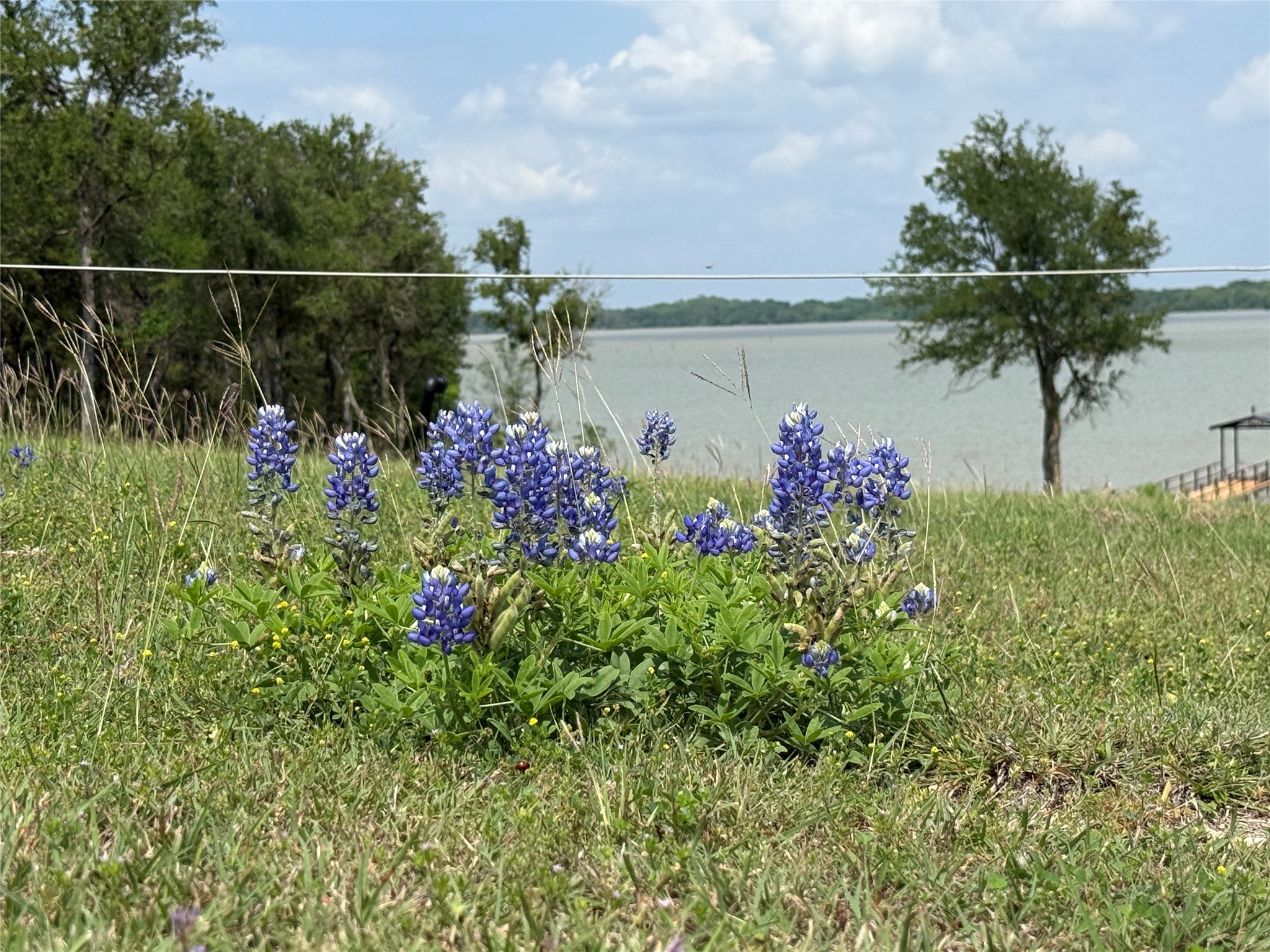 401 Meandering Way Corsicana TX 75109
