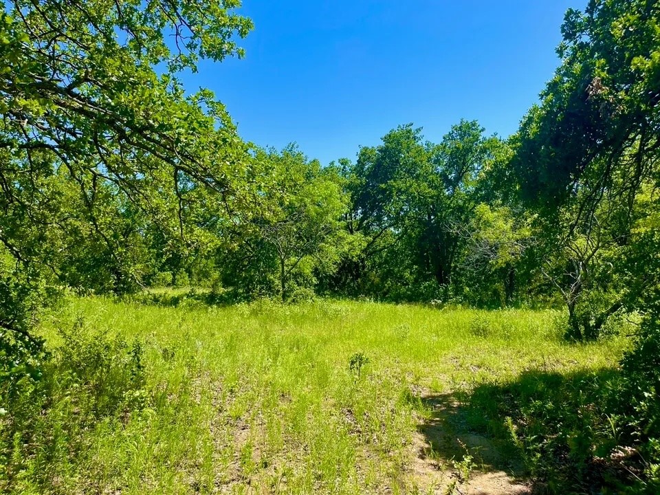 Lot 39 Kilkenny Road Poolville TX 76487