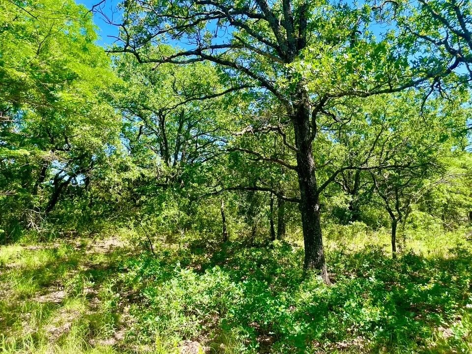 Lot 39 Kilkenny Road Poolville TX 76487