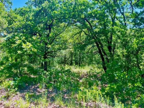 Lot 39 Kilkenny Road Poolville TX 76487