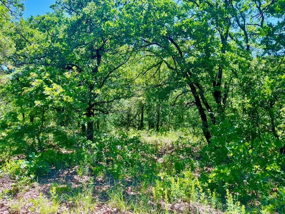 Lot 39 Kilkenny Road Poolville TX 76487