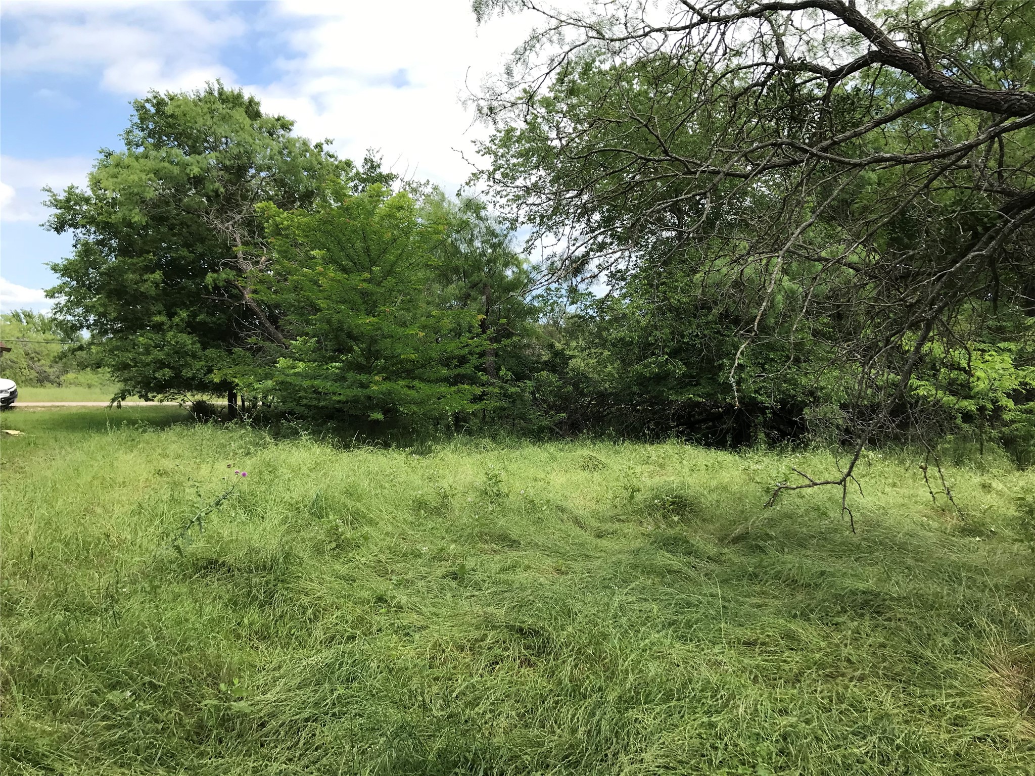 21112 Hill Terrace Drive Whitney TX 76692