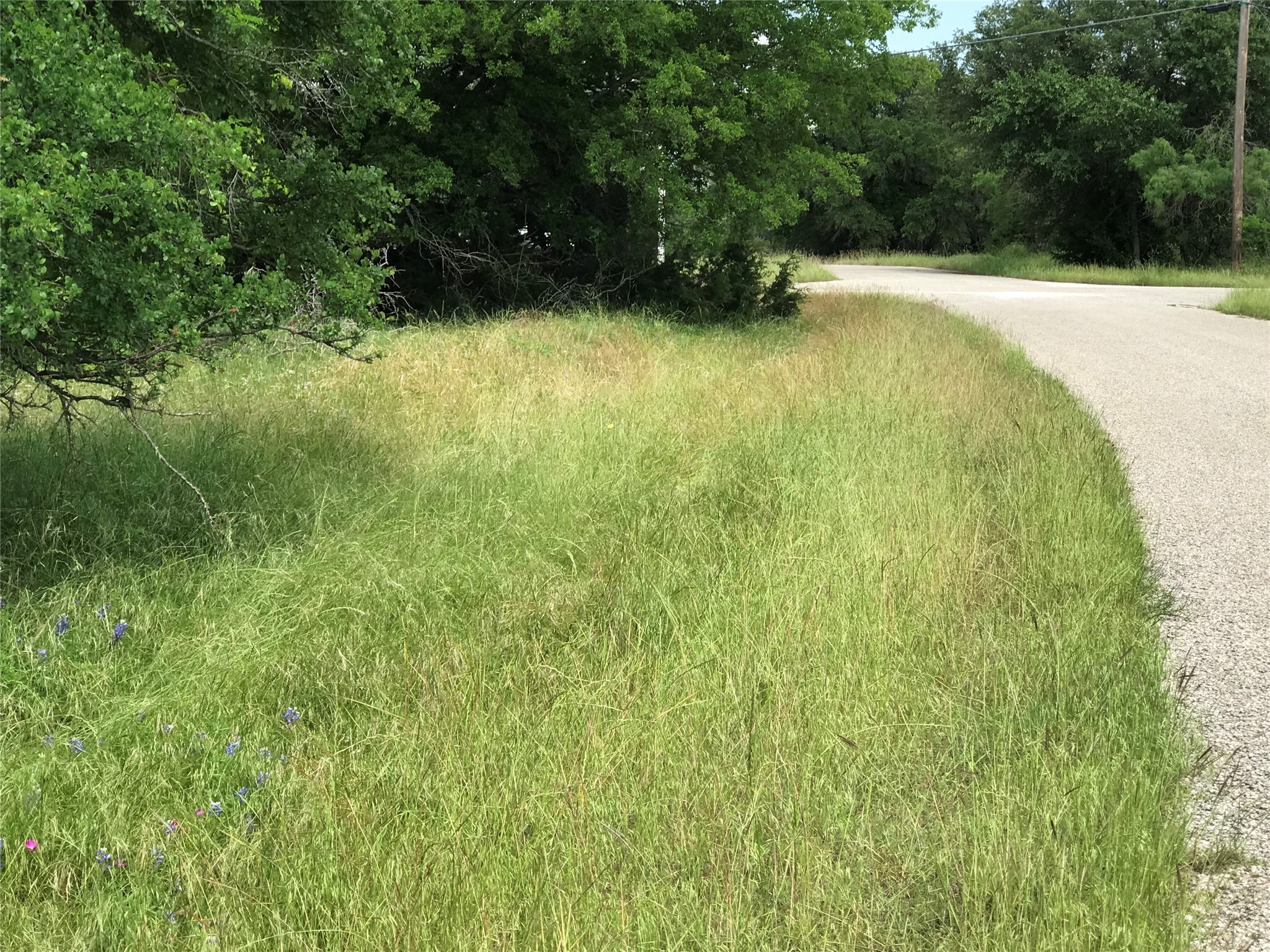 21112 Hill Terrace Drive Whitney TX 76692