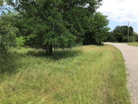 21112 Hill Terrace Drive Whitney TX 76692