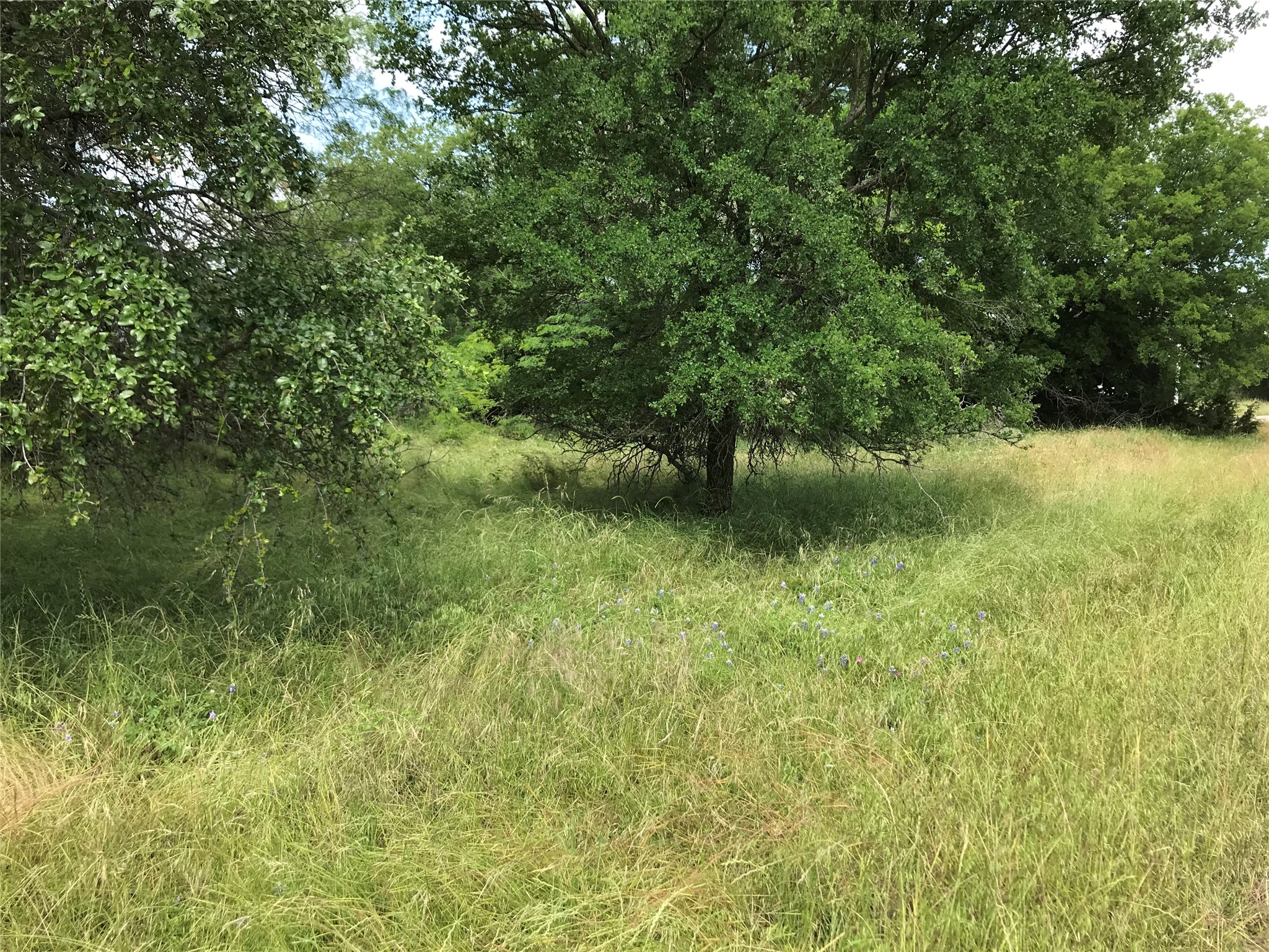 21112 Hill Terrace Drive Whitney TX 76692