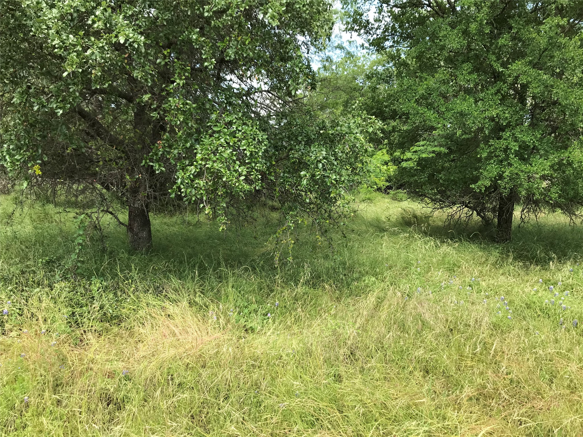 21112 Hill Terrace Drive Whitney TX 76692