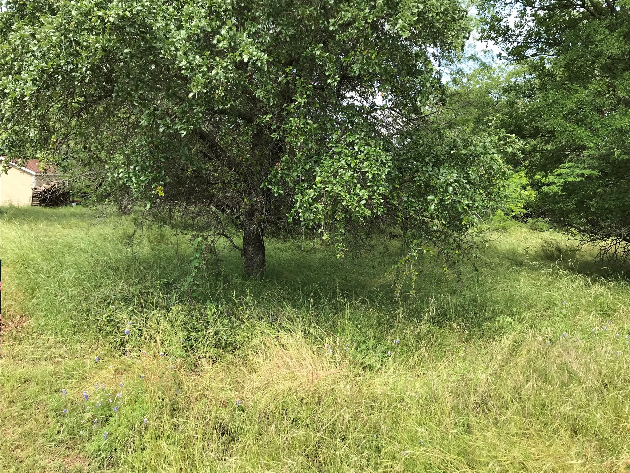 21112 Hill Terrace Drive Whitney TX 76692