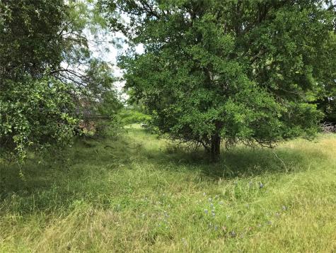 21112 Hill Terrace Drive Whitney TX 76692
