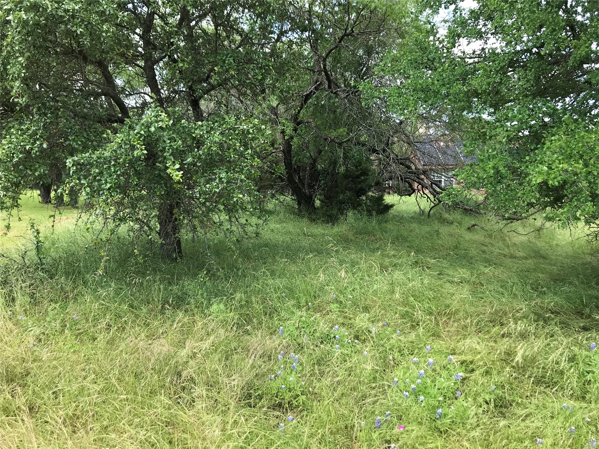 21112 Hill Terrace Drive Whitney TX 76692