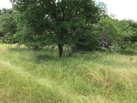 21112 Hill Terrace Drive Whitney TX 76692