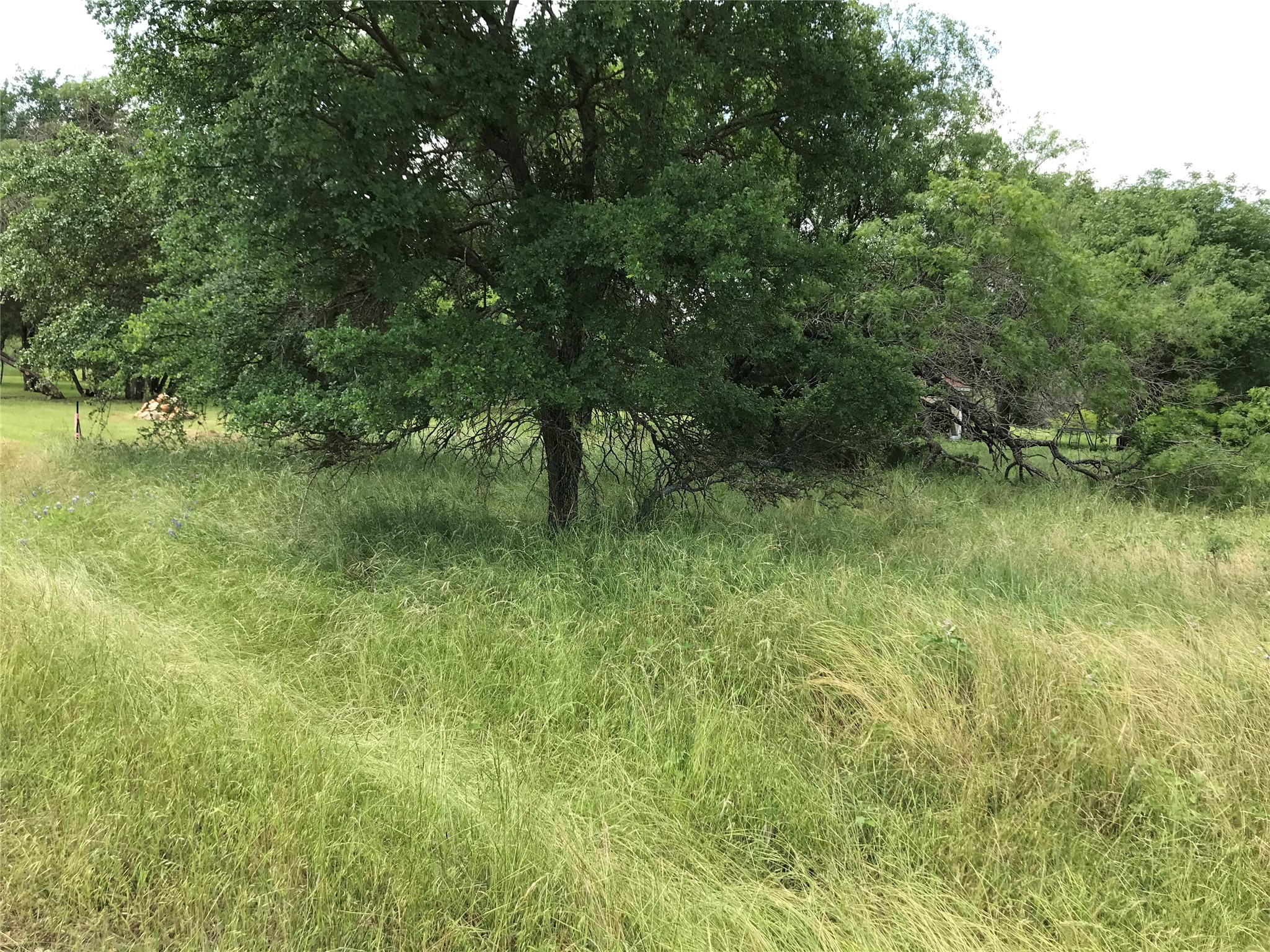 21112 Hill Terrace Drive Whitney TX 76692