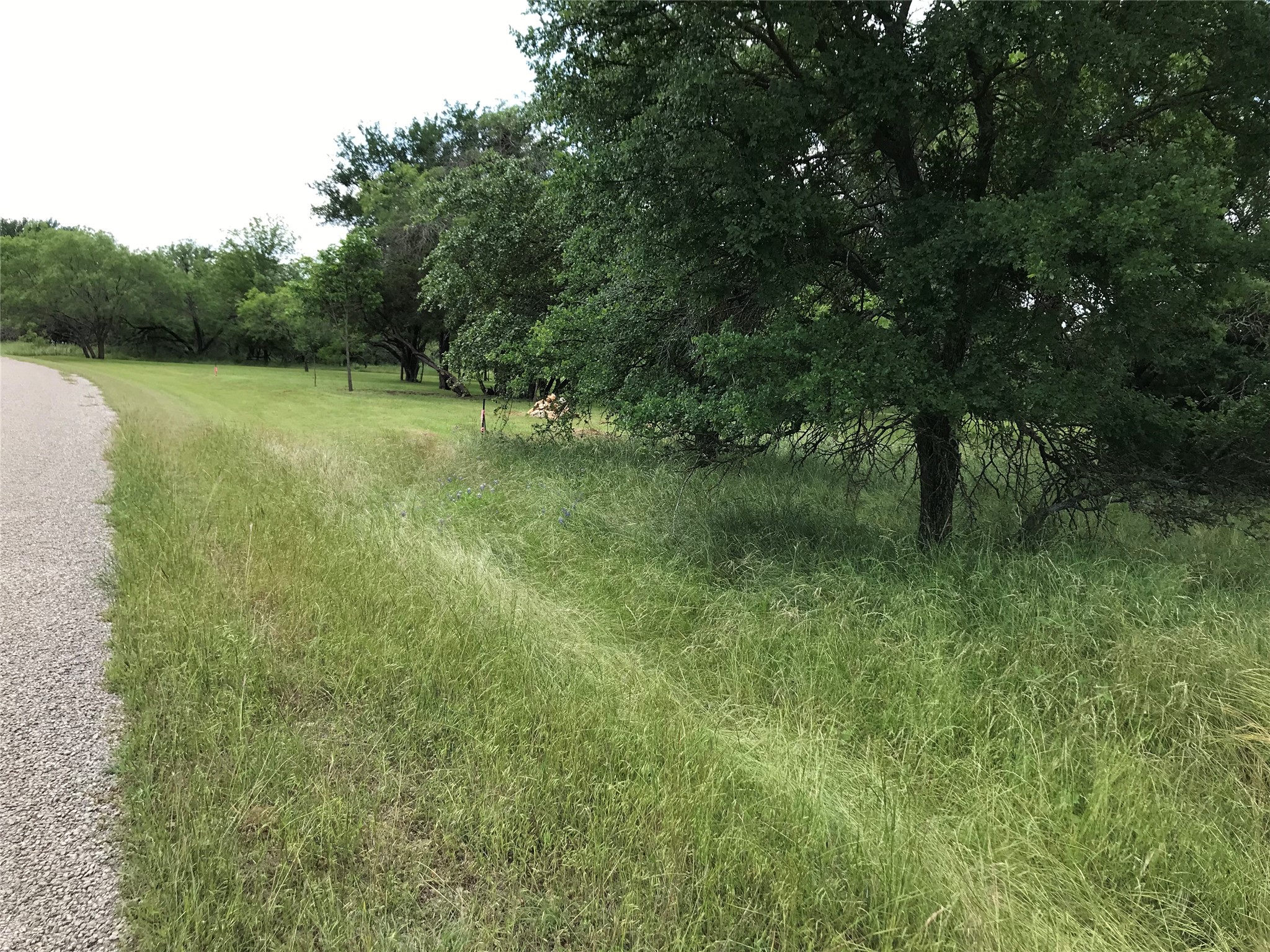 21112 Hill Terrace Drive Whitney TX 76692