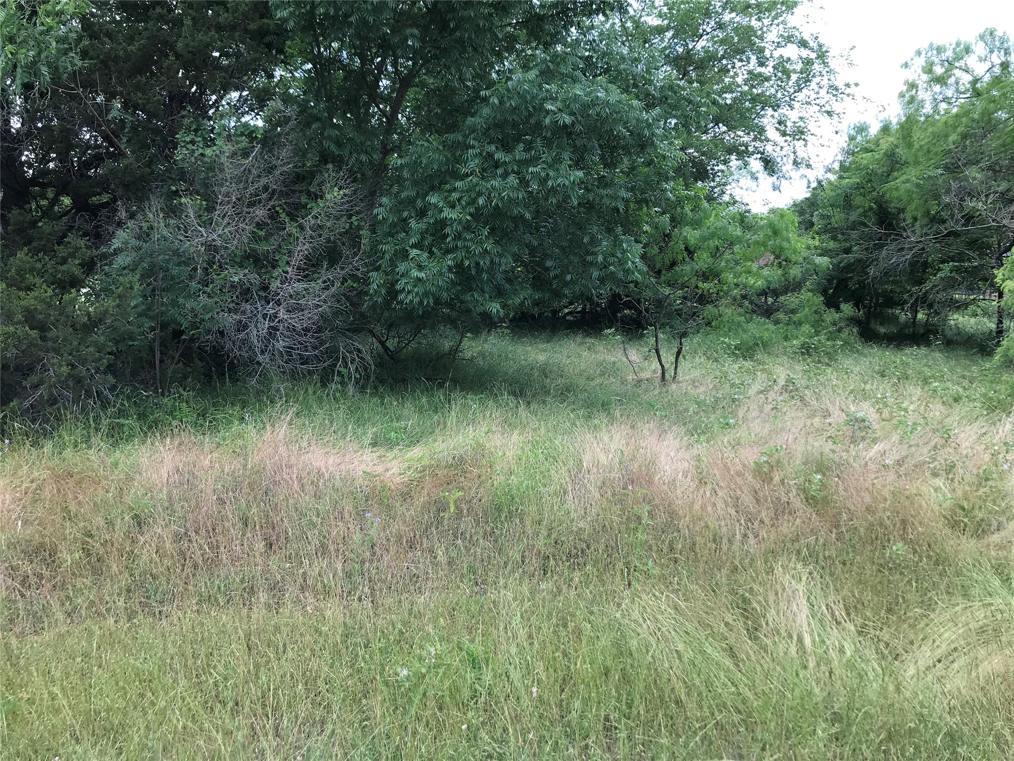 21112 Hill Terrace Drive Whitney TX 76692