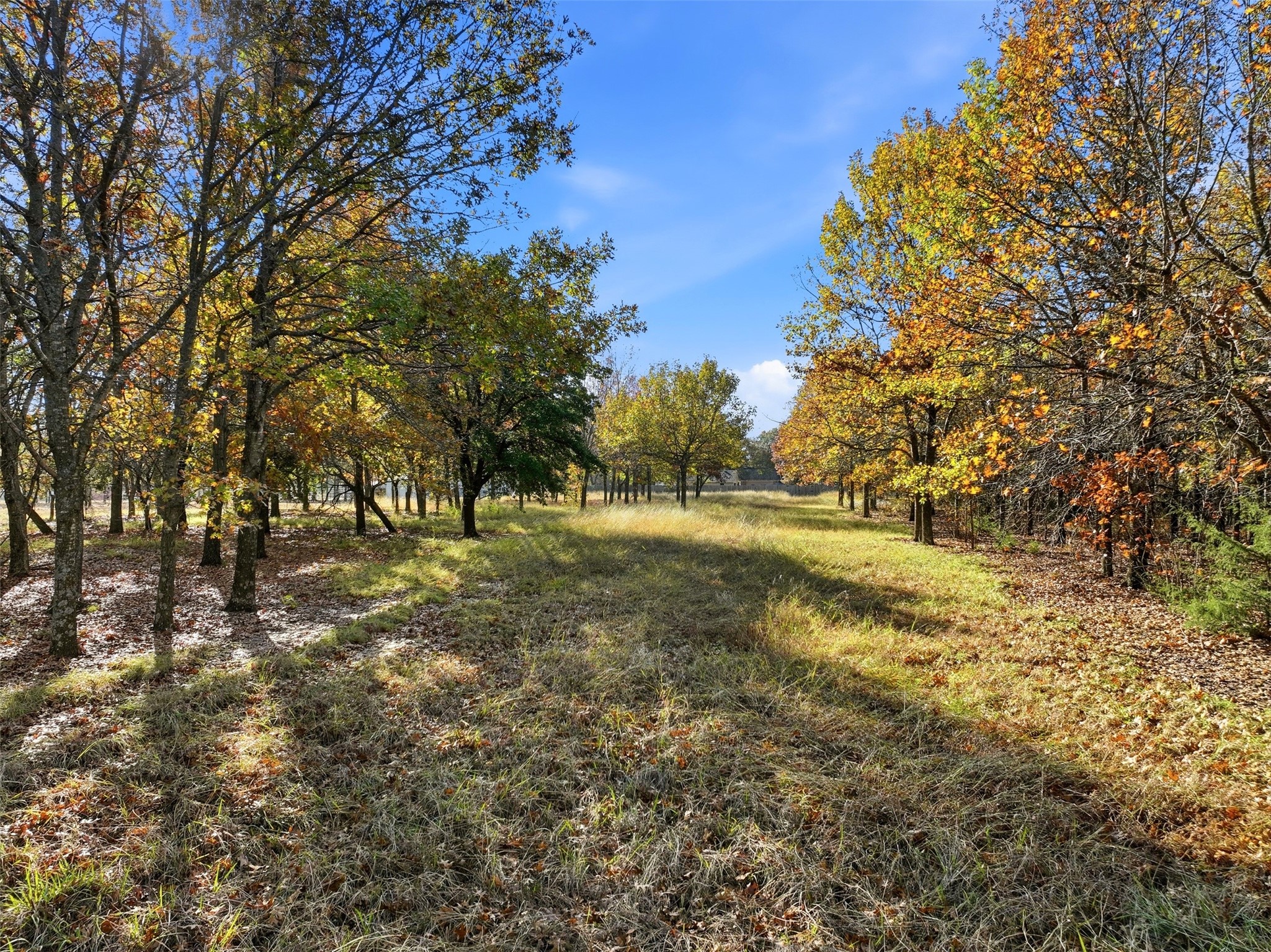 Tbd Lakeshore Drive Waxahachie TX 75165