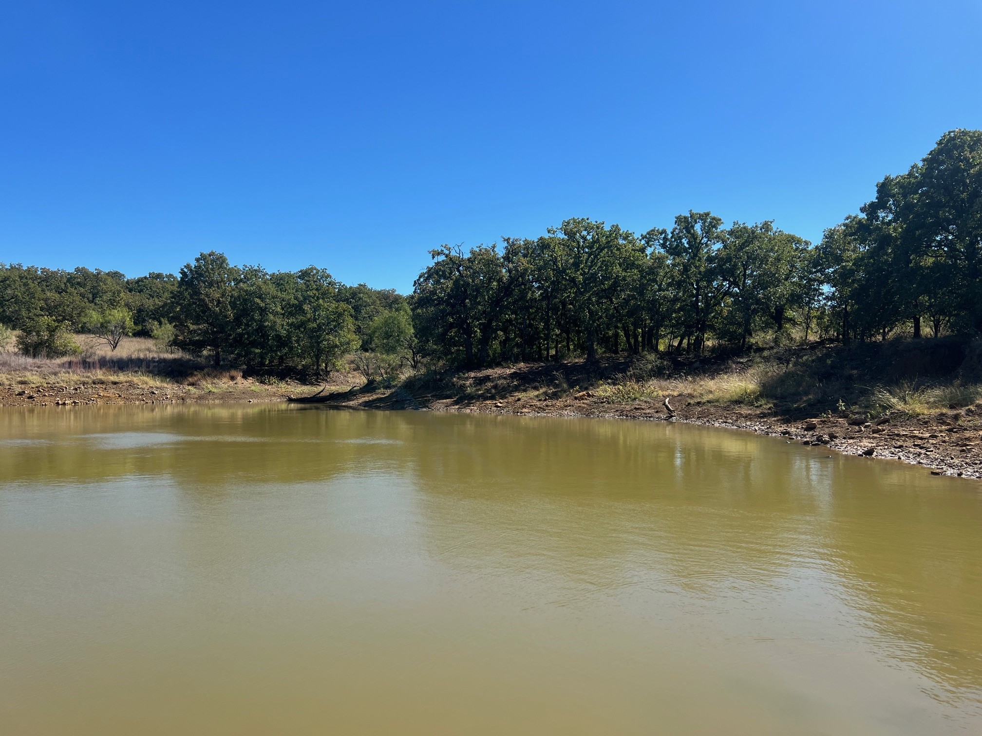 Tbd Uselton Road Loving TX 76460