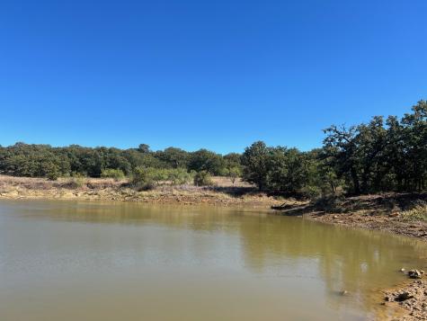 Tbd Uselton Road Loving TX 76460