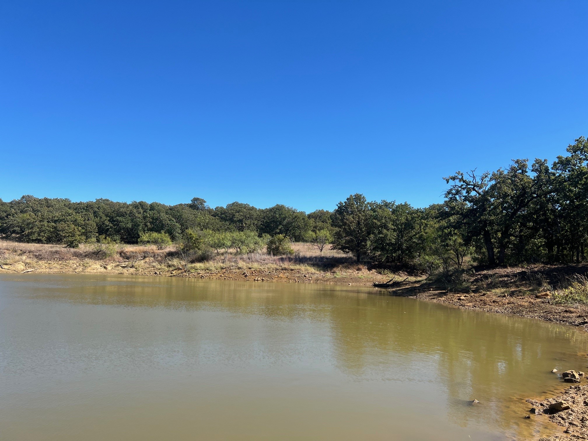 Tbd Uselton Road Loving TX 76460